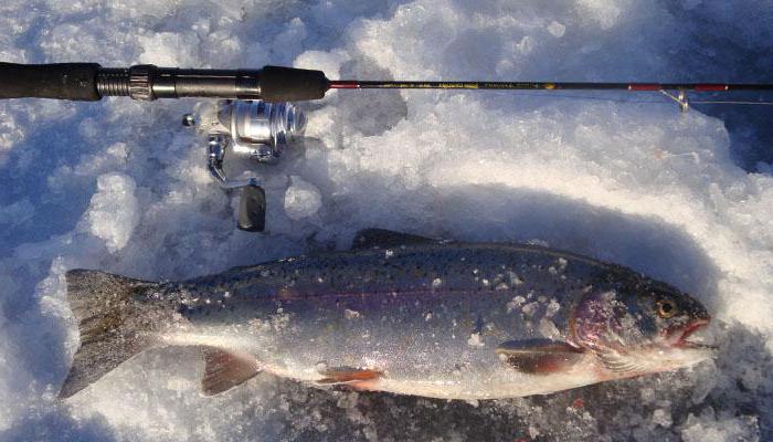 חורף דיג ב Karelia: תכונות דיג