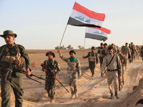 מעיל הנשק הרשמי של עיראק